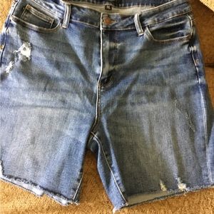 Judy Blue shorts